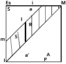 Niederschriften esquema